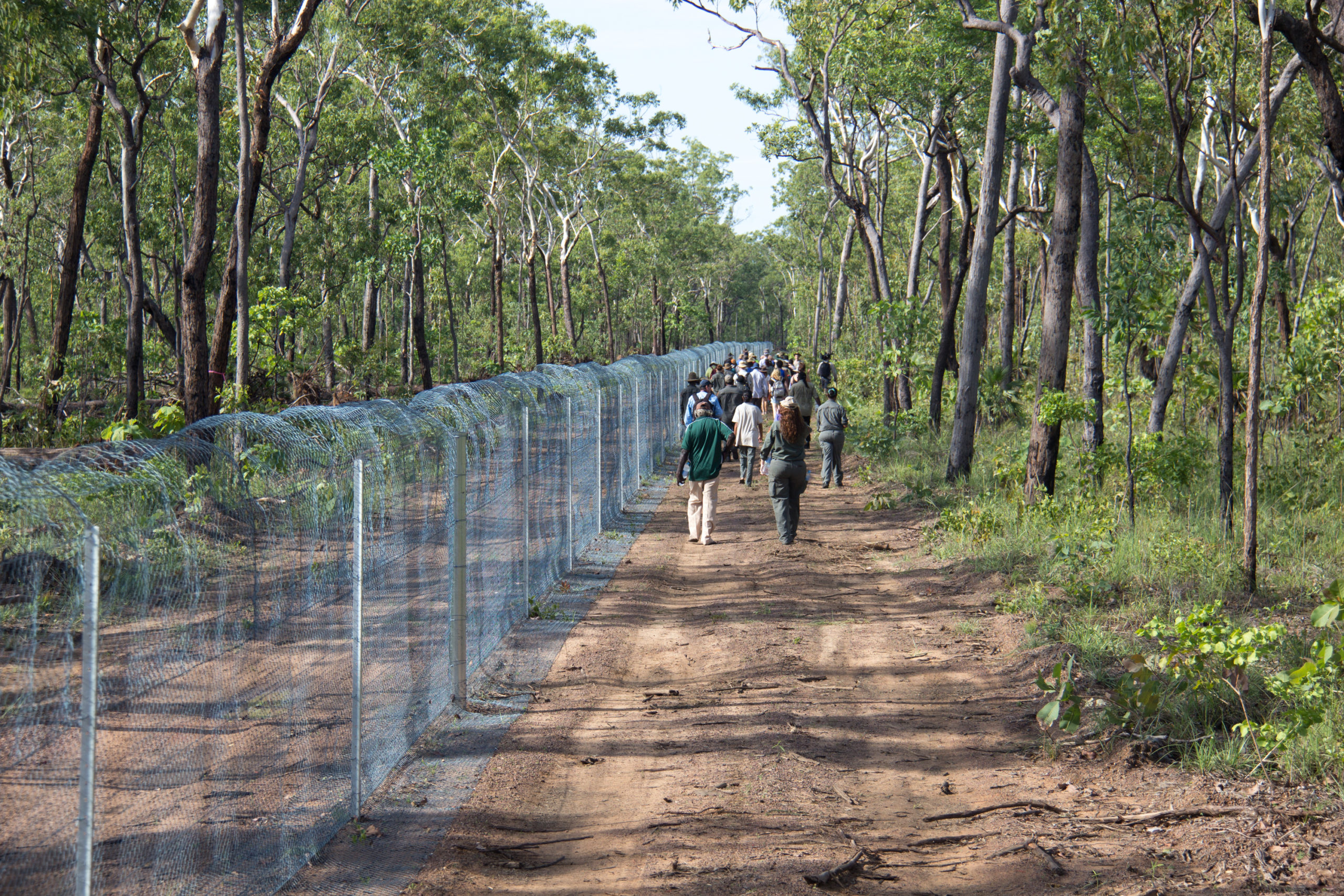 Investigating Feral Cats In Small Mammal Decline Nesp Resilient Landscapes Hub