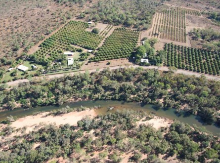 Image of horticulture in the Daly River catchment