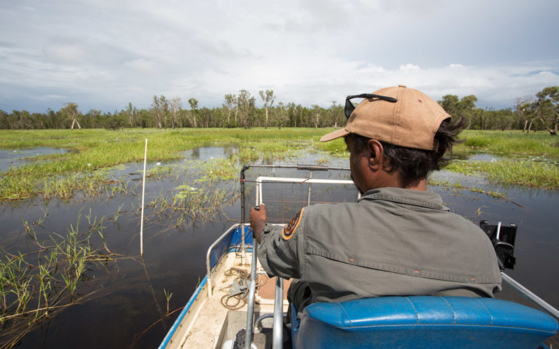 Kakadu wetland inspection by ranger