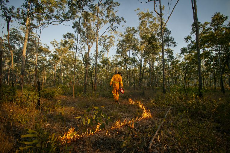 Understanding impacts of savanna burning on biodiversity NESP