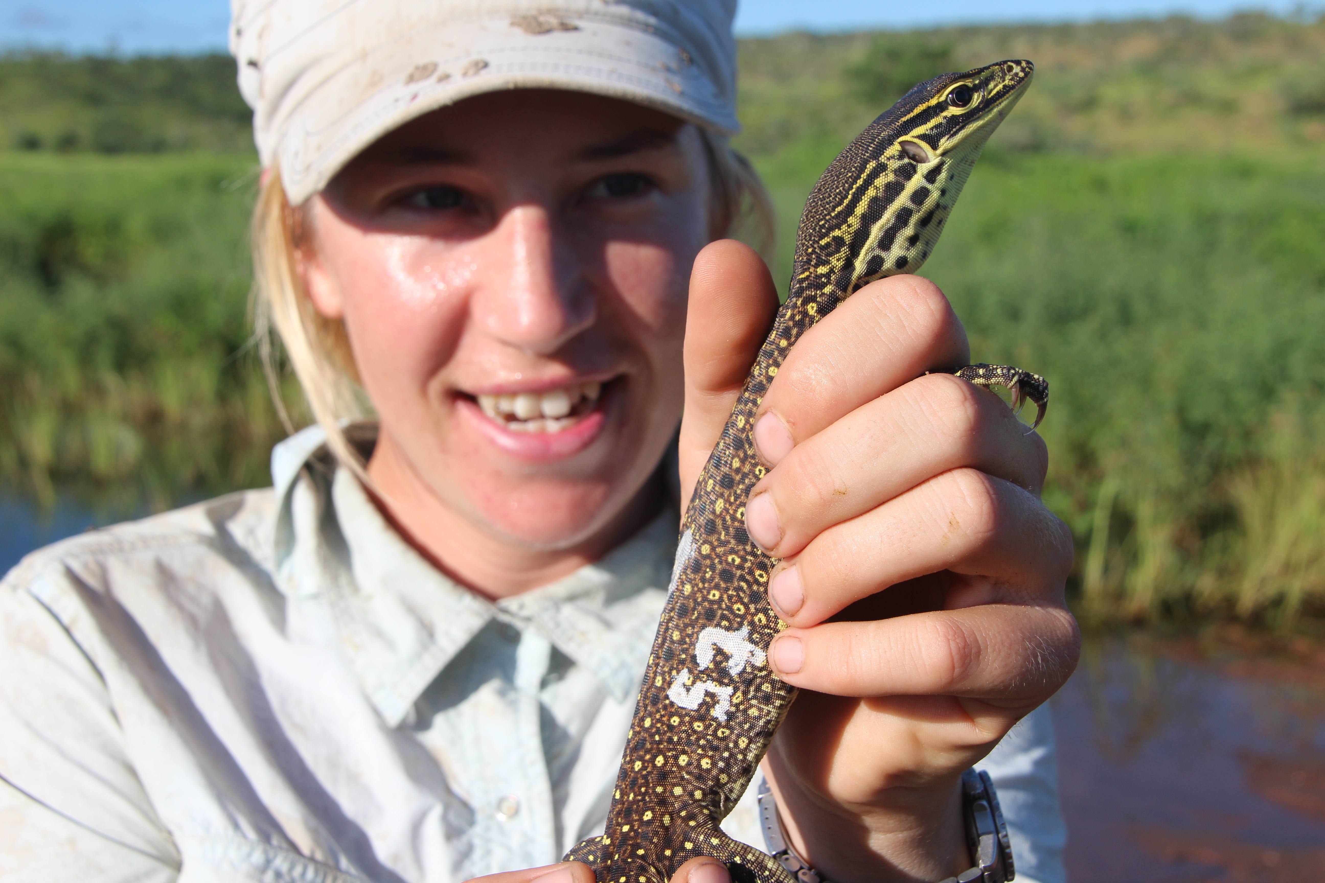 Researcher Georgia Ward-Fear holds a yellow-spotted monitor