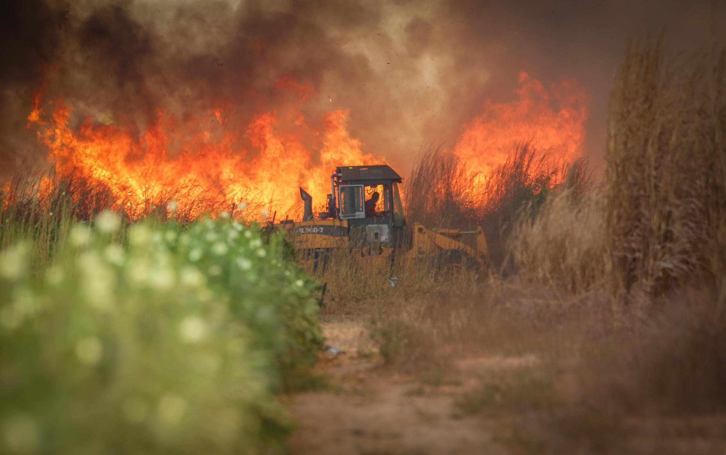 A Gamba Grass fire in Humpty Doo. Green vegetation in foreground, brown gamba, smoke and flames in the top half of the photo.
