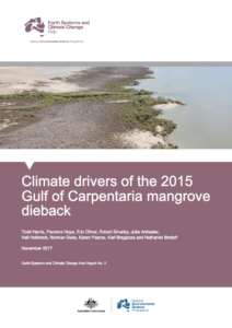 Mangrove dieback report front