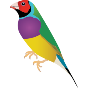 Symbol of a Gouldian finch (Erythrura gouldiae).