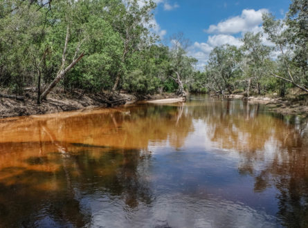 Photo of Magela Creek, Kakadu National Park
