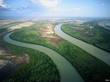 Mitchell River aerial photo. Credit: Kerry Trapnell.