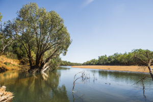 Fitzroy river image.