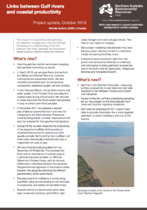 Links between gulf rivers and productivity update front