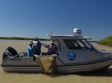 Beam trawl to assess Gulf River flows