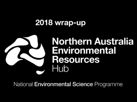 2018 wrap-up above the NESP NAER logo
