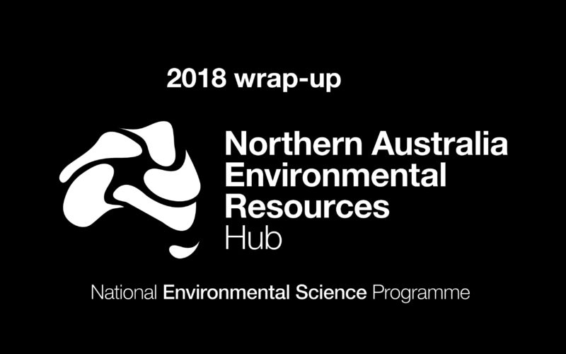 2018 wrap-up above the NESP NAER logo