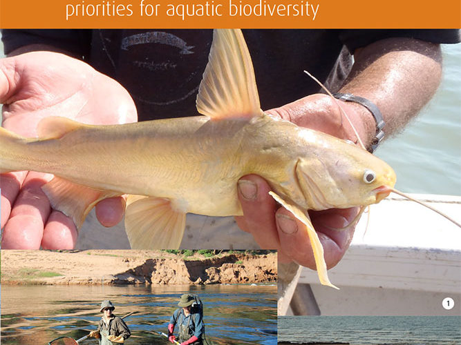 developing conservation & mgt priorities front