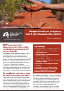 Multiple benefits of ILSMPs factsheet