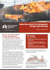 Savanna carbon wrap up factsheet
