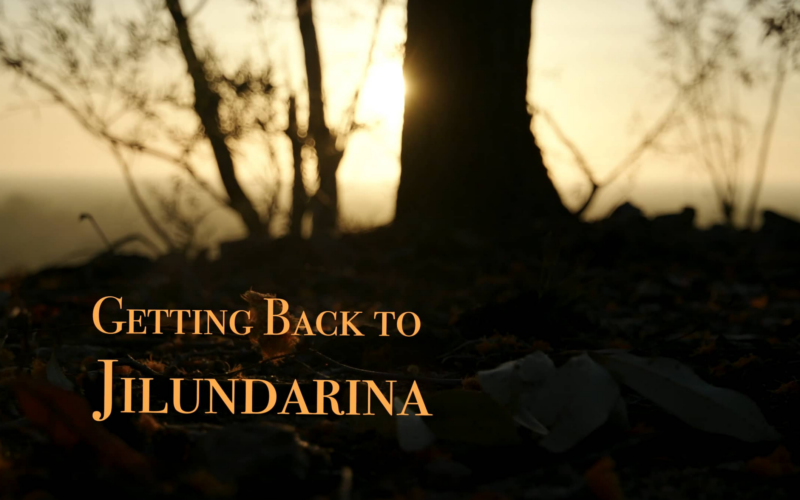 Getting back to Jilundarina title picture