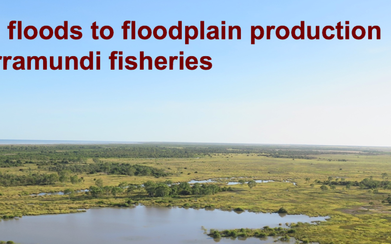 Linking floods to floodplain production and barramundi fisheries