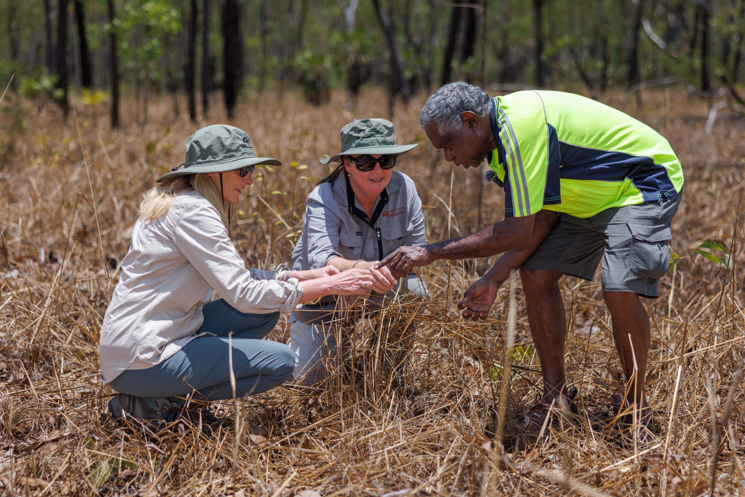 NESP project leaders identifying native grasses as part of a wet-season burning project in Kakadu National Park.