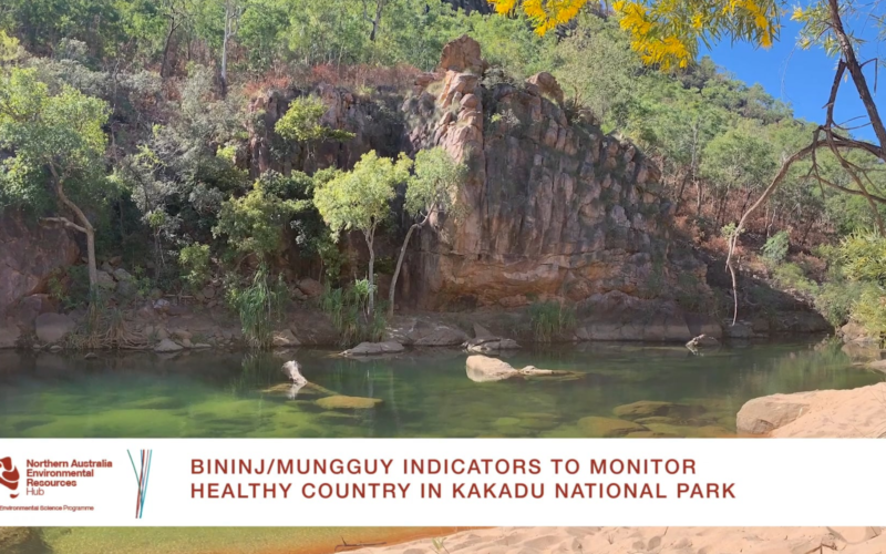 Monitoring healthy country indicators in Kakadu