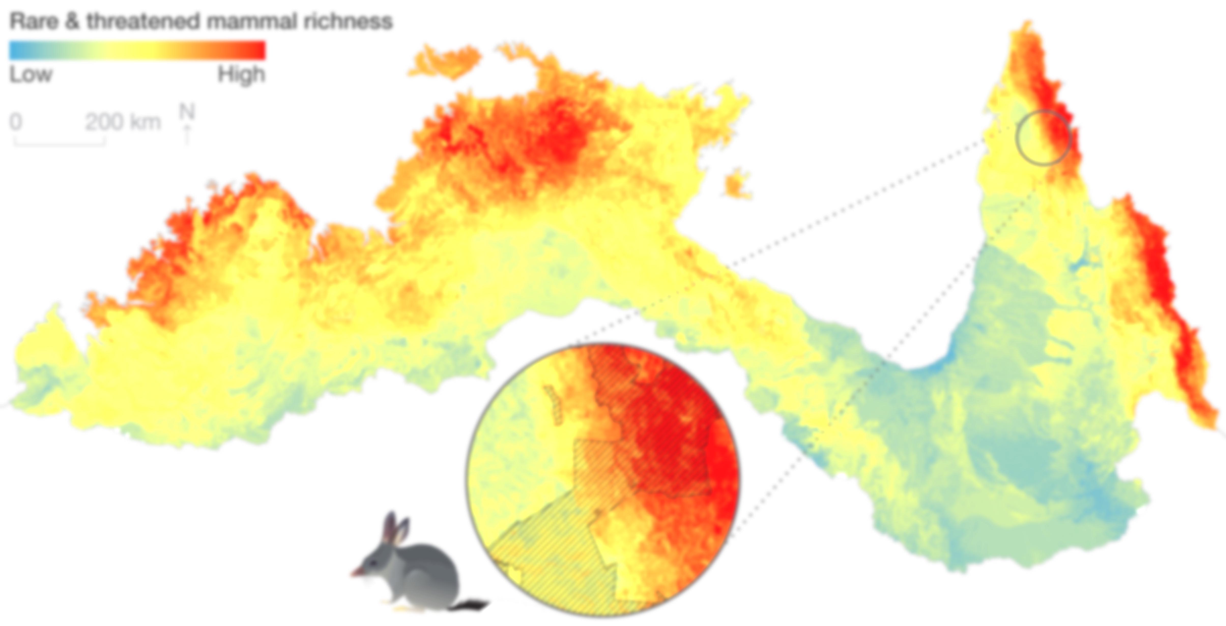 A brightened and blurred version of the 'rare & threatened mammal richness' map which shows hotspots through Kakadu, the Kimberley coastline and the east coast of Cape York.