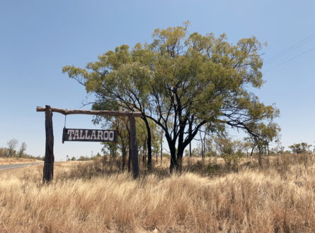 Talaroo station photo, an important piece of land for the Ewamian people involved in this project