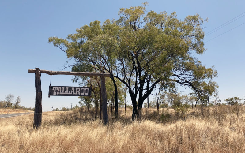 Talaroo station photo, an important piece of land for the Ewamian people involved in this project