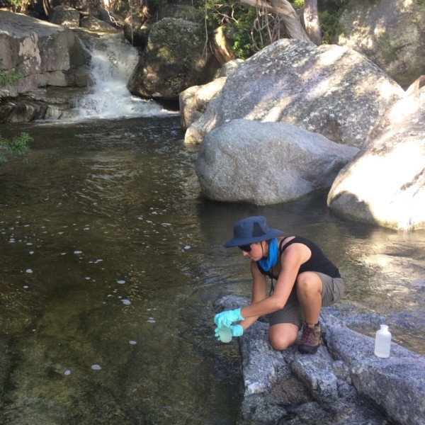 A photo fo Cecilia Villacorta-Rath collecting an eDNA sample in a north Queensland creek.