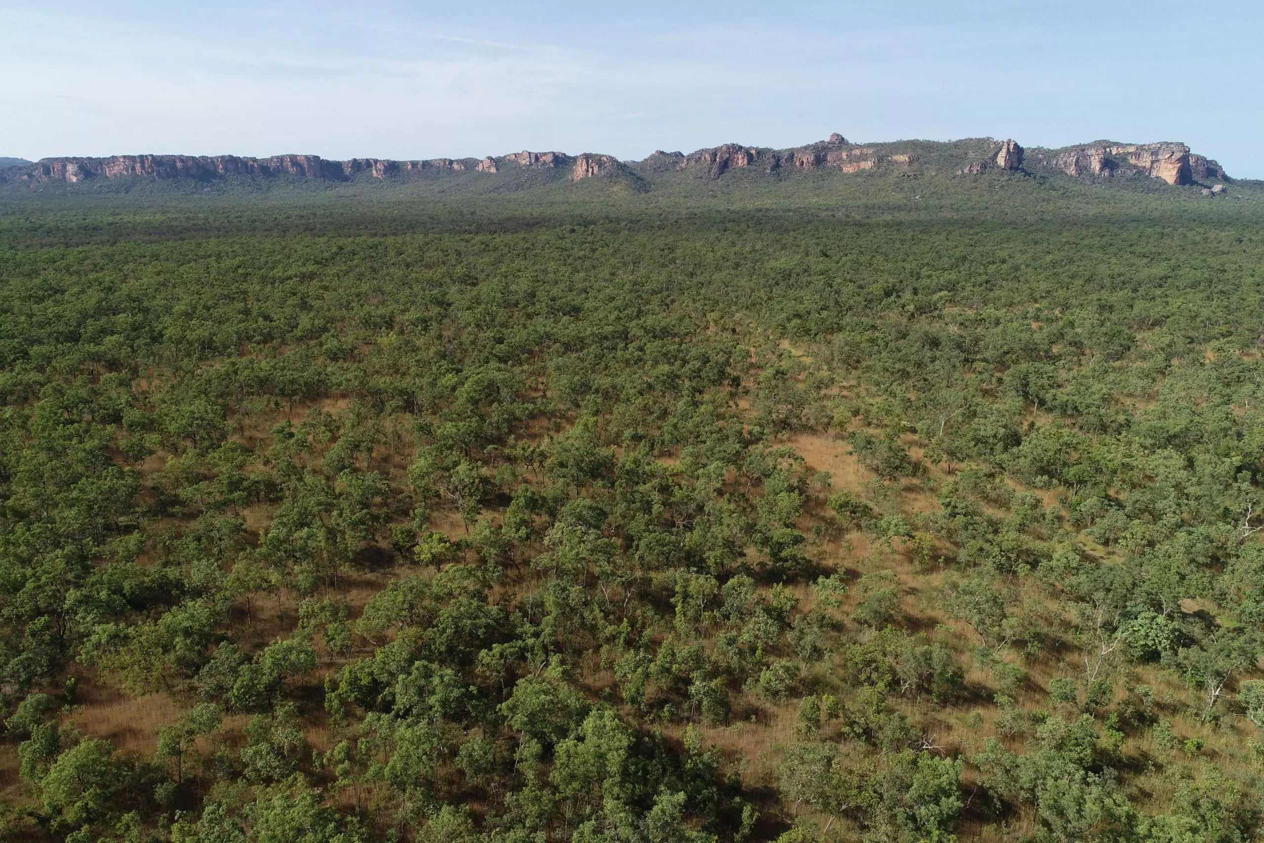 Aerial view of savanna landscape looking towards escarpment in Kakadu National Park.