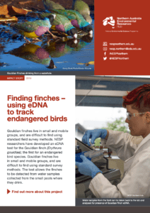 Finding finches with eDNA cover page. Link through to document