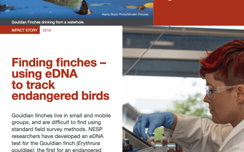 Finding finches with eDNA cover page. Link through to document
