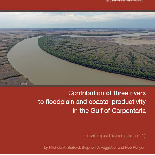 Gulf rivers report cover
