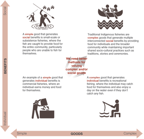 A complex diagram explaining individiual and social benefits mapped against simple and complex goods using the example of fishing. 