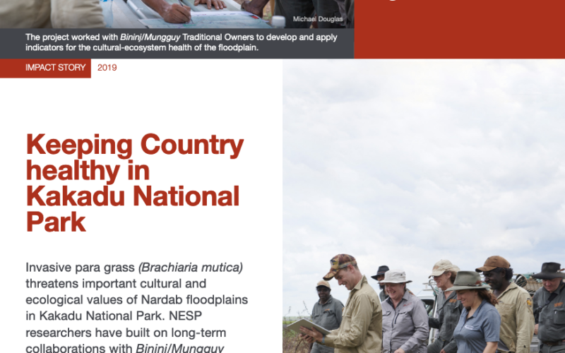 Keeping Country healthy in Kakadu National Park front page image linking through to impact story