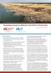 mangrove wrap-up factsheet cover