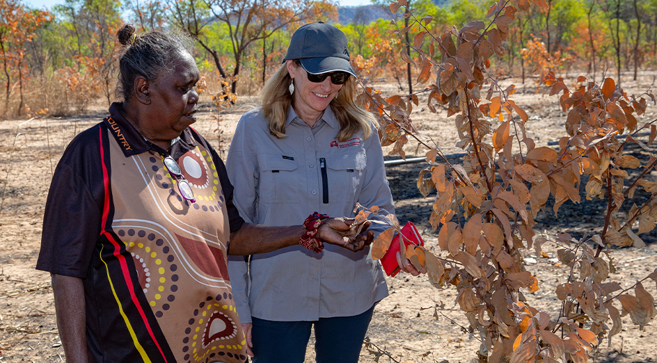 Jawoyn Traditional Owner Bessie Coleman and UWA Associate Professor Samantha Setterfield and working on fire management in Kakadu National Park NT