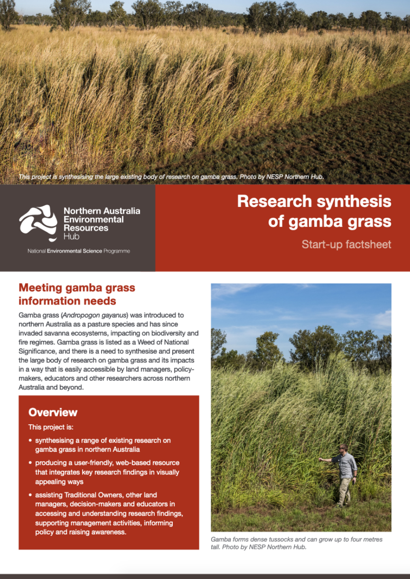 Research synthesis of gamba grass - NESP Resilient Landscapes Hub