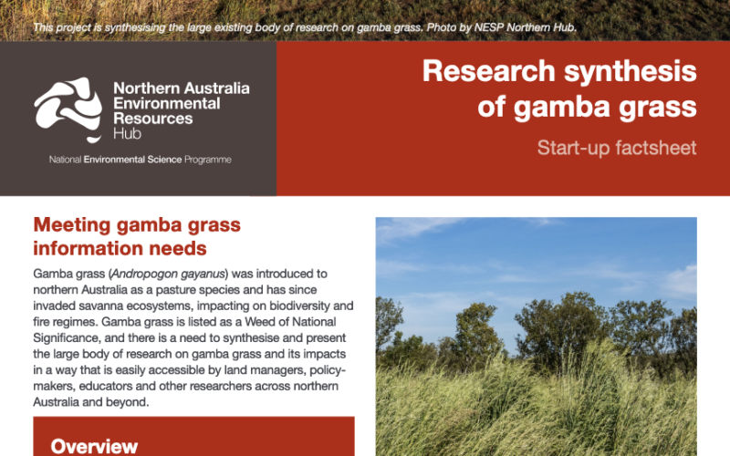 Research synthesis of gamba grass (start-up factsheet) front page