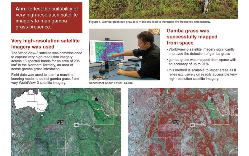 Machine learning helps to map gamba grass from space poster. A PDF of the poster is linked elsewhere.