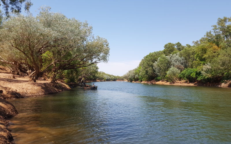 Fitzroy river from ther riverbank