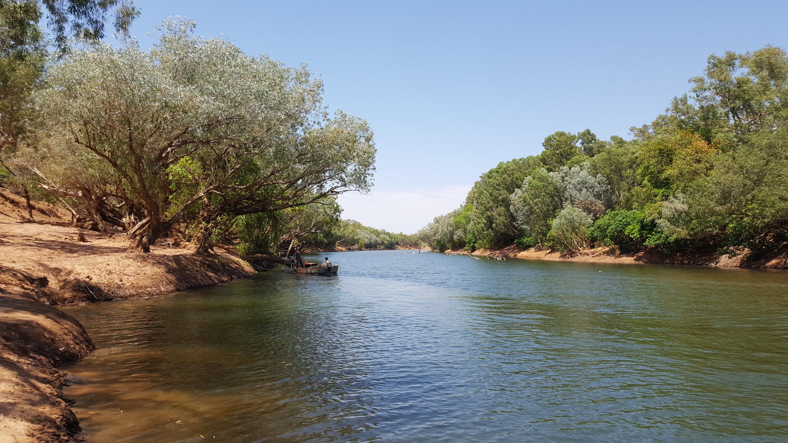 Fitzroy river from ther riverbank