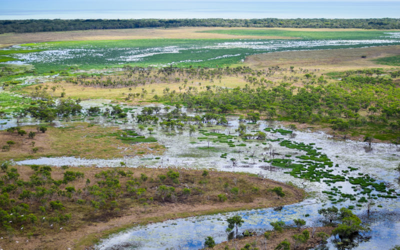 Looking towards the coastline over a Cape York floodplain in the wet season shows a mostly flooded landscape.