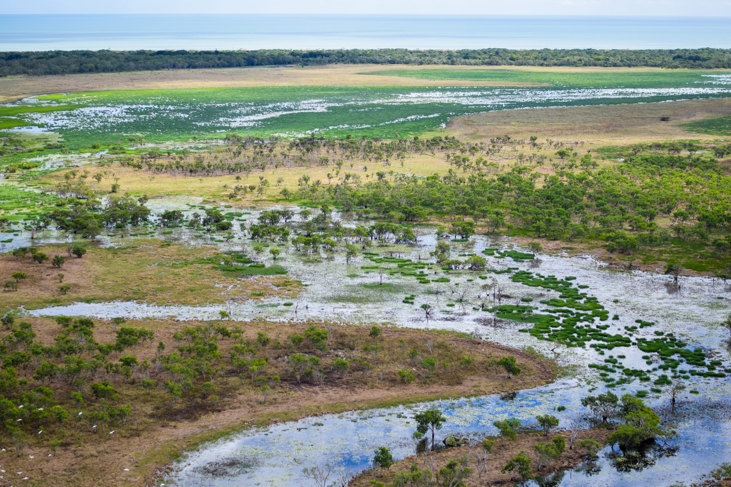 Looking towards the coastline over a Cape York floodplain in the wet season shows a mostly flooded landscape.