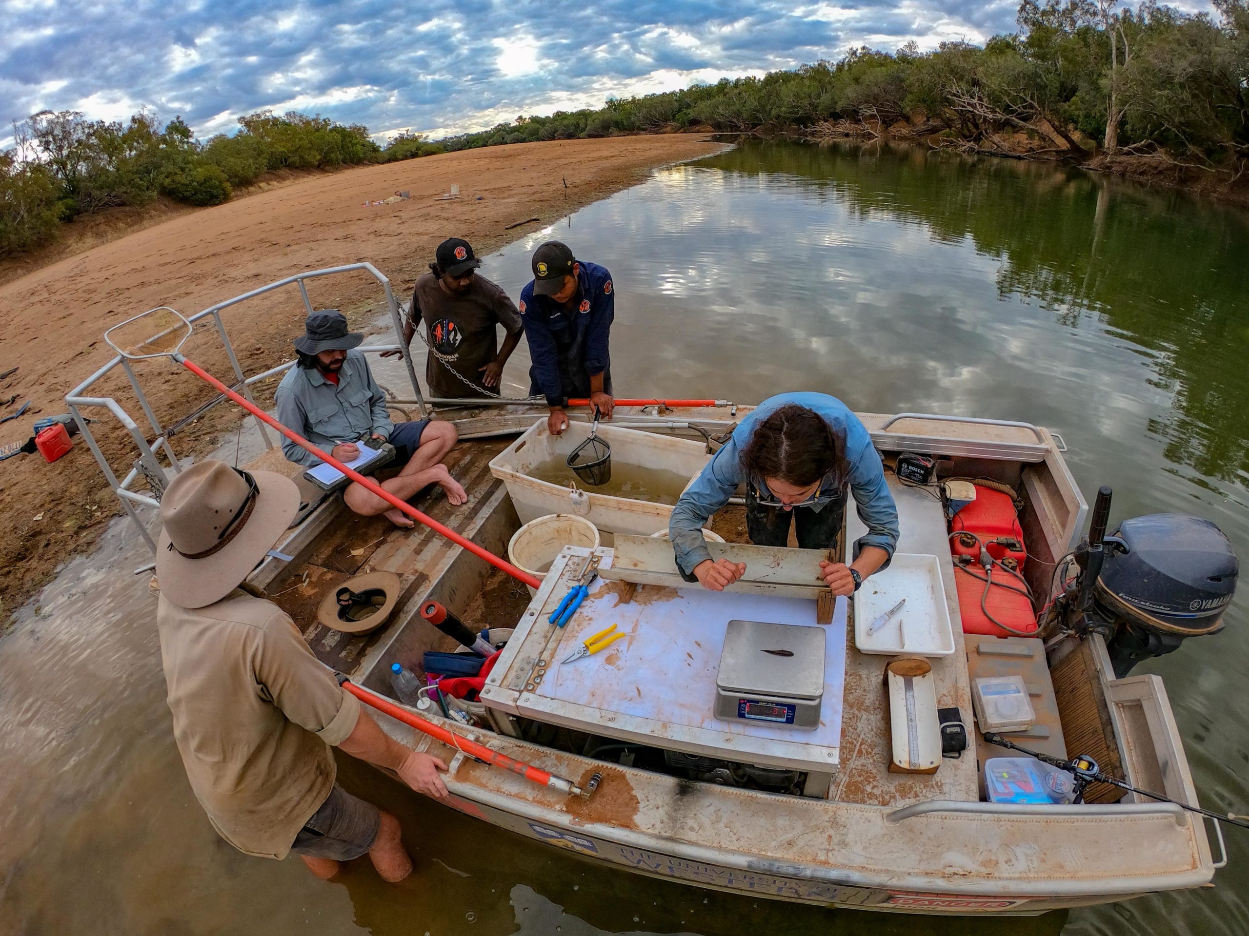Fitzroy River research with researchers from UWA and Yimardoo Warra Rangers.