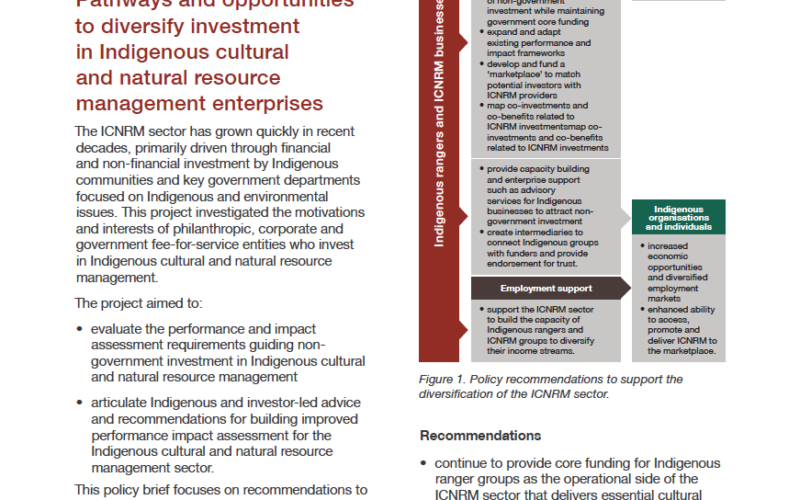 Guiding investment policy brief cover