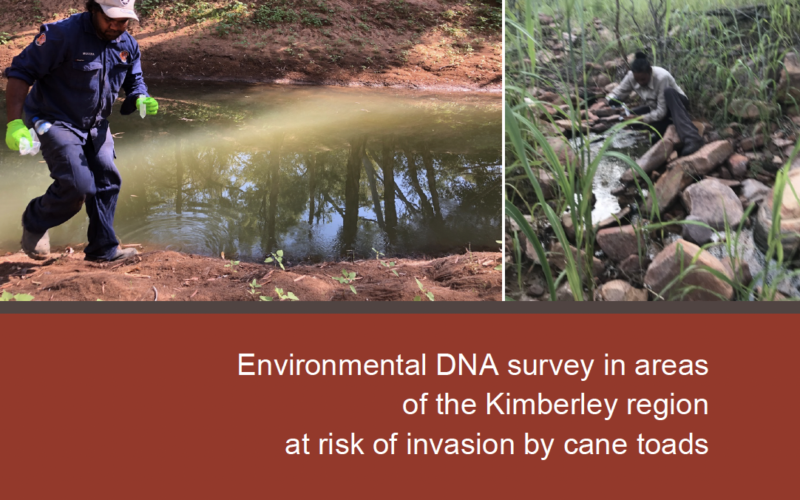 Front cover of the eDNA survey in the Kimberley report
