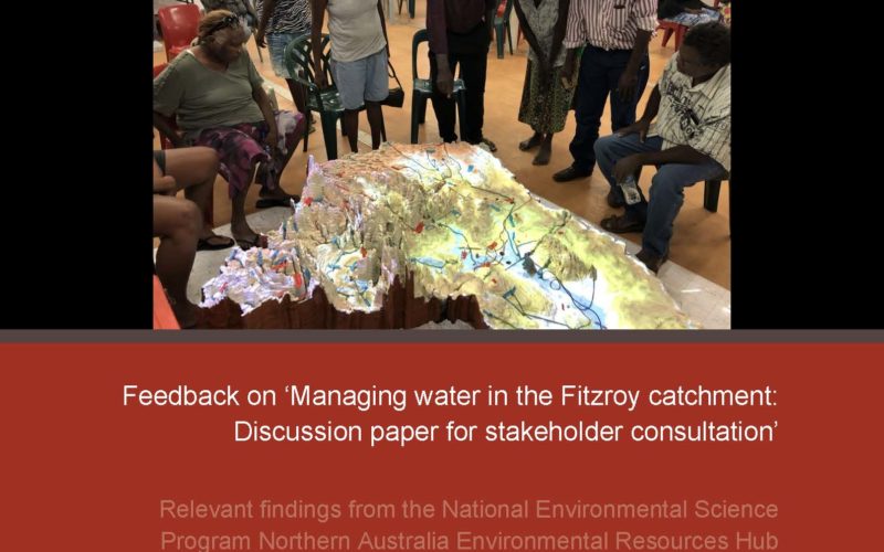 Feedback on Fitzroy water allocation discussion paper