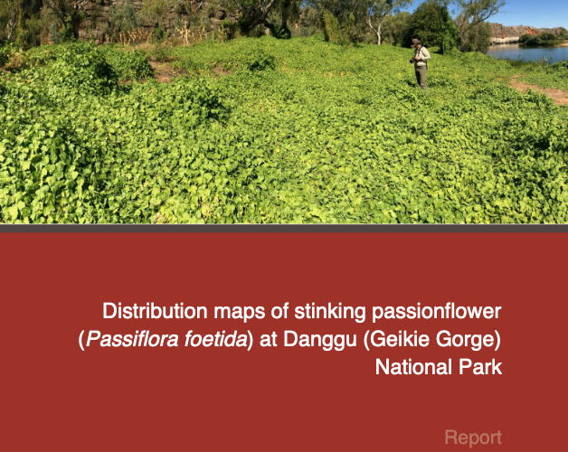 Distribution maps (stinking passionflower) front image
