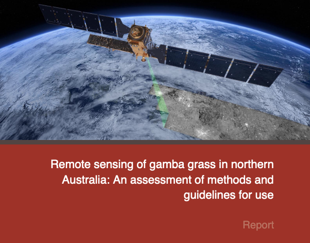 Remote sensing of gamba grass (report front cover image)
