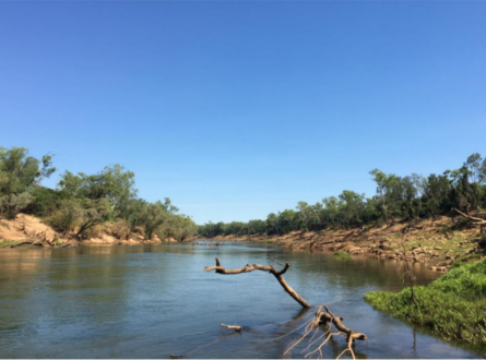 An image of the Northern Territory’s Daly River. The top half of the image is clear blue sky, while the river winds down the centre of the photo with lots of snags and woody debris visible in the river. The left bank is noticeably sandy while the right bank is more of a mixture of grass, rocks and more woody debris. Photo: Alison King.