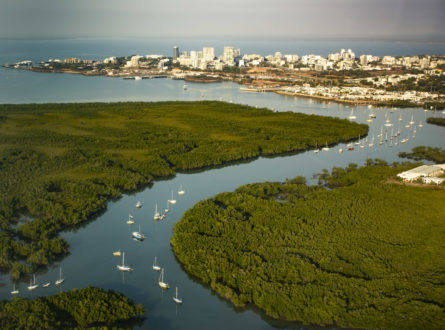 A Darwin harbour estuary winds towards the city of Darwin.