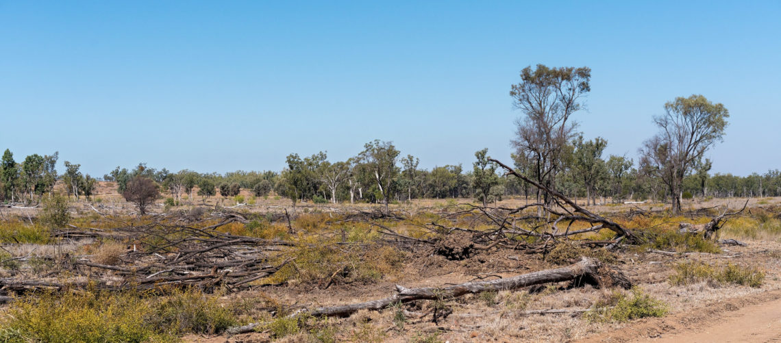 Image shows deforestation in an Australian landscape